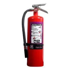 Badger Extra 20lb Purple-K Fire Extinguisher (Chrome Handle)